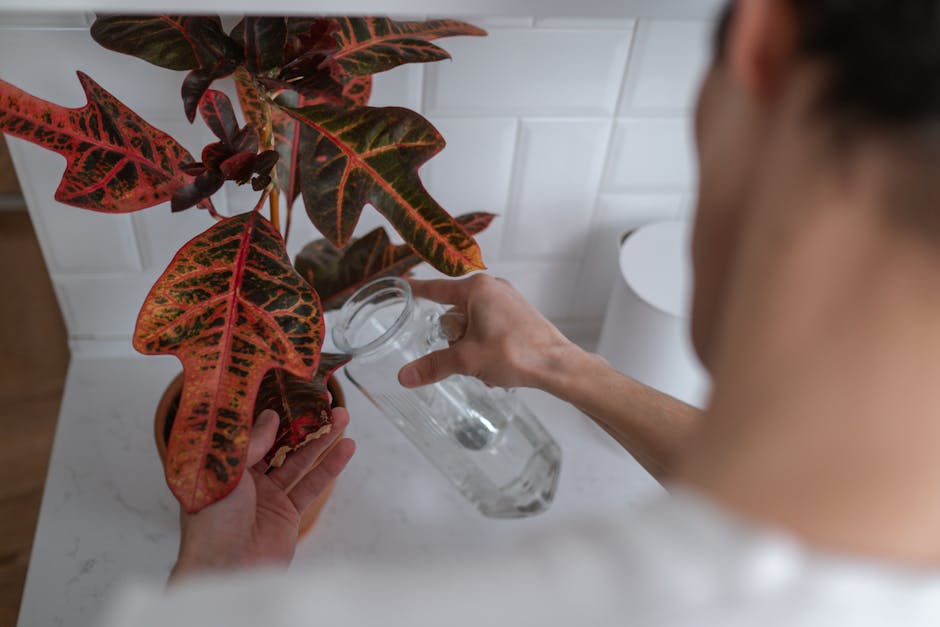 Kompaktes Hydroponik-System mit Nährlösung und Pflanzenwurzeln